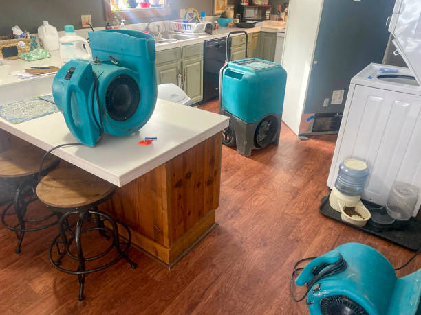 Best Fire Damage Restoration  in New Richmond, WI