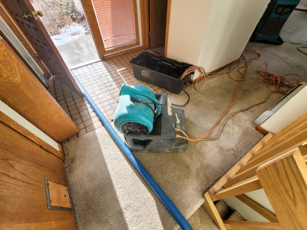 Best Water damage contractors near me  in New Richmond, WI