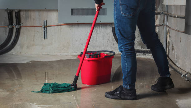 Best Ceiling water damage repair  in New Richmond, WI