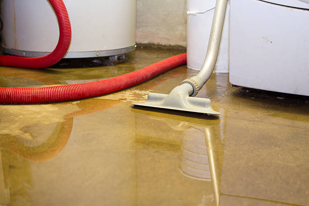 Best Flooded house restoration  in New Richmond, WI