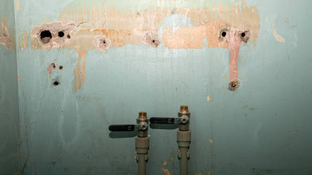 Best Water damage restoration near me  in New Richmond, WI