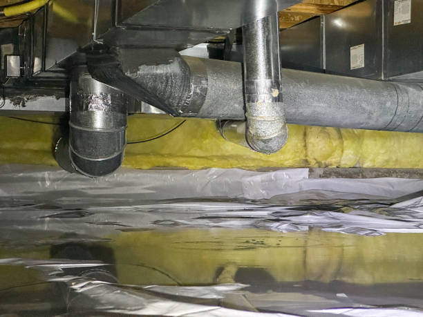 Best Water damage contractors near me  in New Richmond, WI