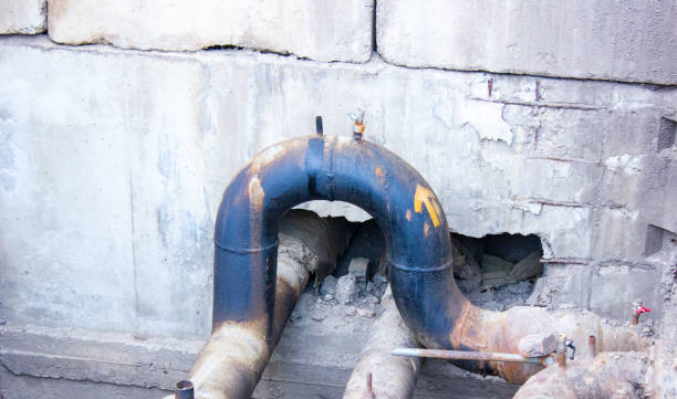 Best Carpet water damage restoration  in New Richmond, WI