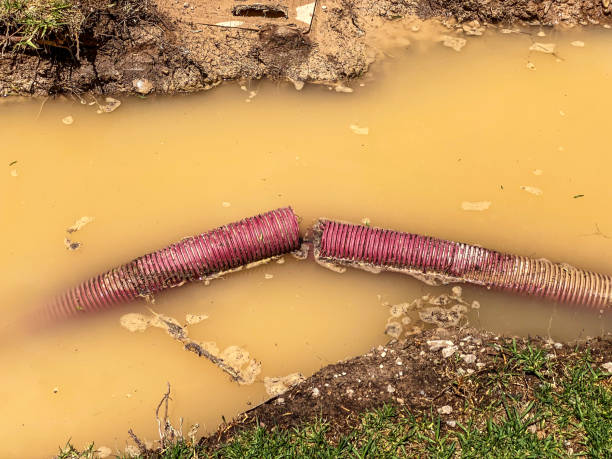 Best Water damage restoration near me  in New Richmond, WI