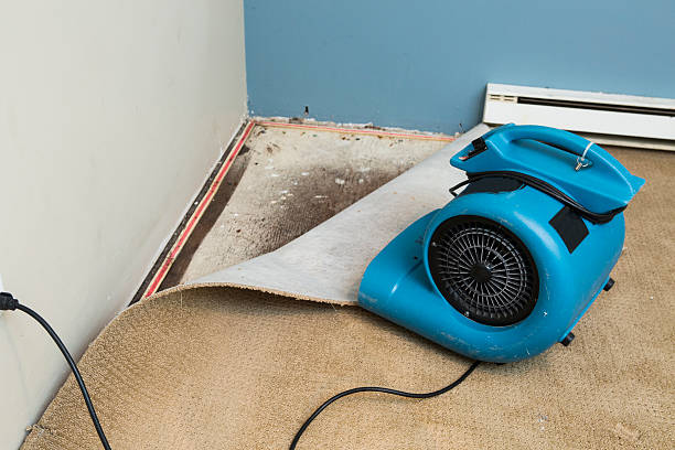 Best Basement water damage restoration  in New Richmond, WI